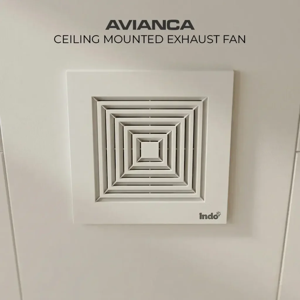 Avianca2