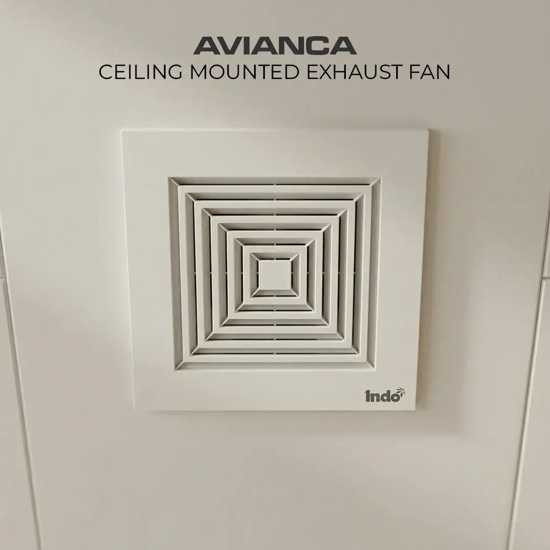 Avianca2